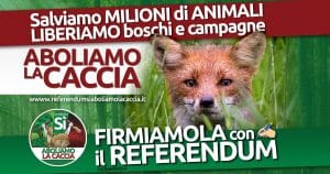 referendum caccia